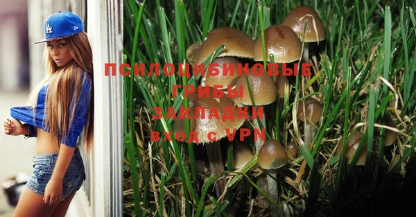амф Слюдянка