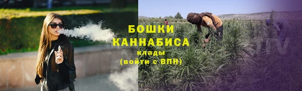 мдма Снежногорск