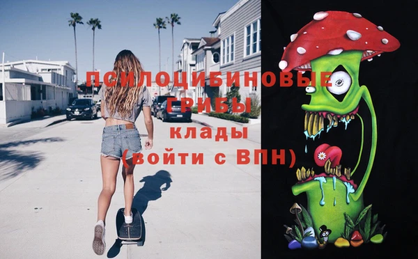 мдма Снежногорск