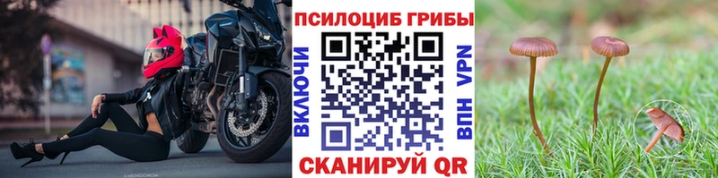 купить   Биробиджан  Галлюциногенные грибы ЛСД 