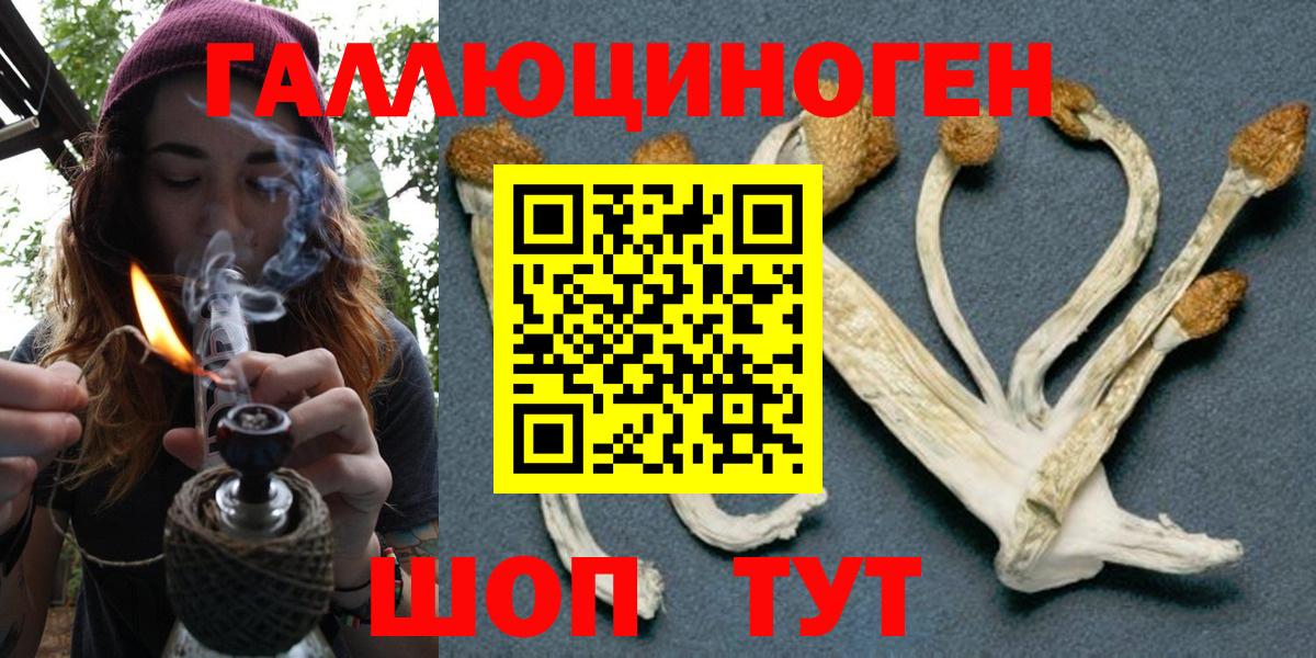 Биробиджан  Псилоцибиновые грибы Psilocybe  Вход с VPN 